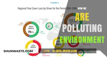 Human Impact: Environmental Pollution and Our Future