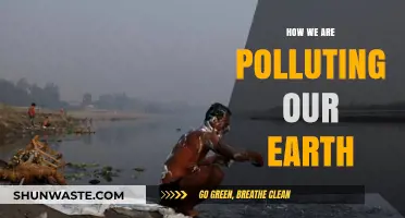 Humanity's Impact: Polluting Our Earth