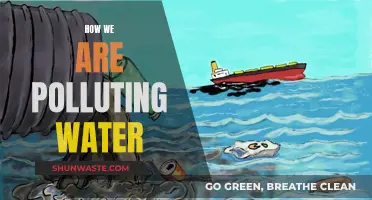 Unveiling the Hidden Threats: How Human Actions Contaminate Our Water Sources