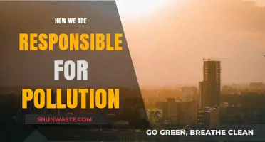 Human Impact: The Pollution Problem