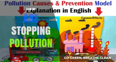 Fighting Pollution: Our Strategies for a Cleaner World