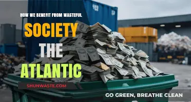 Wasteful Society's Hidden Gains: Uncovering Unexpected Benefits in Excess