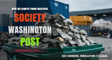 Wasteful Society's Hidden Gains: Lessons from The Washington Post