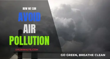 Strategies to Mitigate Air Pollution and Breathe Easier