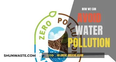 Protecting Our Waterways: Simple Steps to Prevent Water Pollution