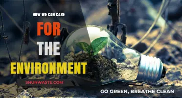 Sustainable Living: Simple Steps to Protect and Preserve Our Planet