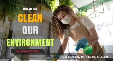 Sustainable Steps: Practical Ways to Clean and Protect Our Environment