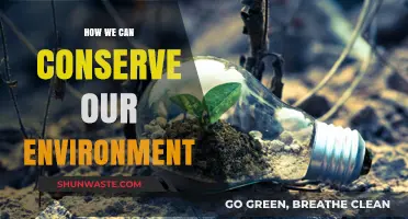Sustainable Living: Simple Steps to Protect and Preserve Our Planet