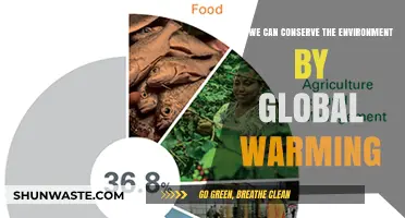 Combating Global Warming: Practical Steps to Protect and Restore Our Environment
