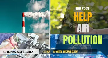 Fighting Air Pollution: Simple Steps to Breathe Easier
