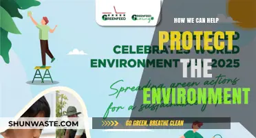 Sustainable Steps: Simple Actions to Safeguard Our Planet's Future