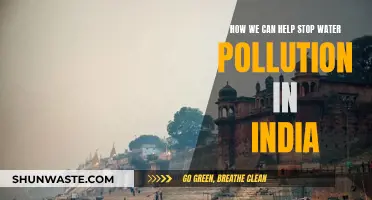 Clean Water, Healthy India: Simple Steps to Fight Pollution