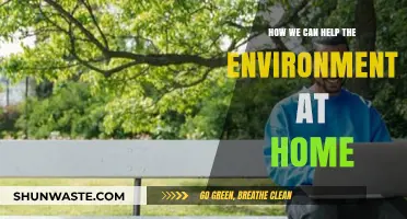 Simple Home Habits to Protect Our Planet and Reduce Waste