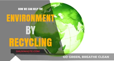 Recycling for a Greener Future: Simple Steps to Save Our Planet