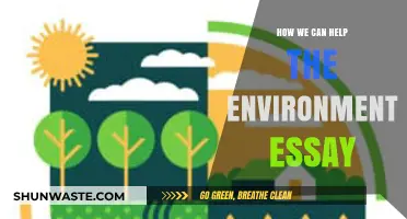 Sustainable Steps: Practical Ways to Protect and Preserve Our Environment