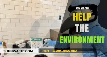 Sustainable Steps: Simple Ways to Protect and Preserve Our Planet
