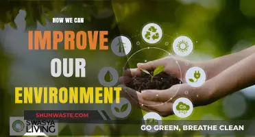 Sustainable Steps: Practical Ways to Enhance Our Environment Today