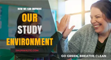 Enhance Focus: Simple Tips to Optimize Your Study Environment