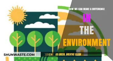 Sustainable Steps: Empowering Actions to Protect and Restore Our Environment