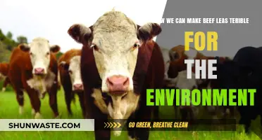Sustainable Beef: Eco-Friendly Practices to Reduce Environmental Impact