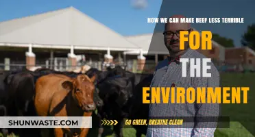 Greener Grazing: Sustainable Beef Practices for a Healthier Planet
