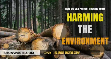 Sustainable Logging Practices: Protecting Forests and Preserving Our Planet's Future
