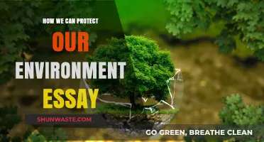 Sustainable Steps: Protecting Our Environment for a Greener Future