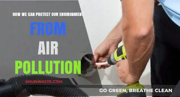 Breathing Cleaner Air: Practical Steps to Combat Environmental Pollution