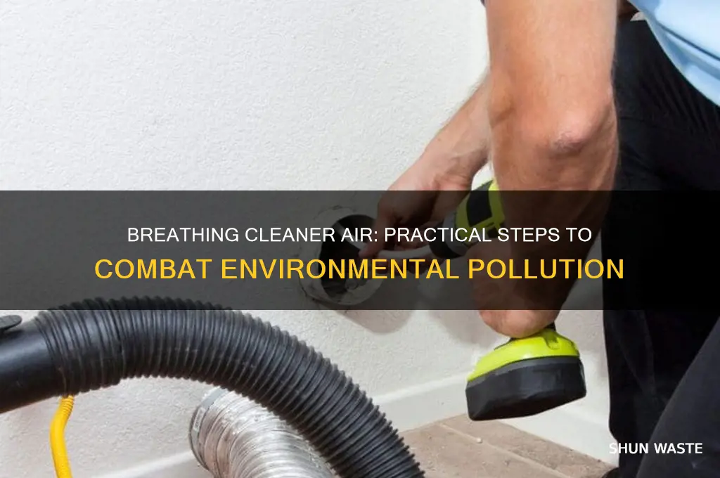Breathing Cleaner Air: Practical Steps To Combat Environmental ...