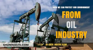 Sustainable Solutions: Safeguarding Our Environment from Oil Industry Impacts