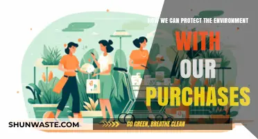 Sustainable Shopping: How Your Purchases Can Protect the Environment