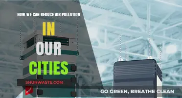 Breathing Clean: Strategies to Combat Urban Air Pollution