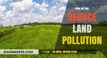 Green Solutions: Strategies to Combat Land Pollution and Restore Earth's Health