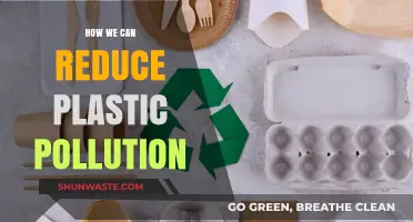 Sustainable Solutions: A Guide to Reducing Plastic Pollution