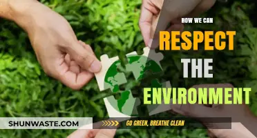 Sustainable Living: Simple Steps to Honor and Protect Our Planet