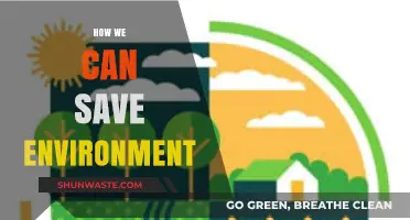 Sustainable Steps: Practical Ways to Protect and Preserve Our Planet