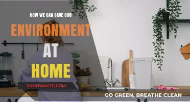 Eco-Friendly Home Habits: Simple Steps to Save Our Environment
