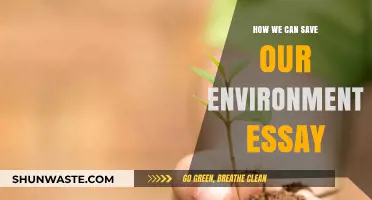 Sustainable Steps: Practical Ways to Protect and Preserve Our Environment