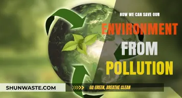 Green Solutions: Our Collective Responsibility to Protect the Planet