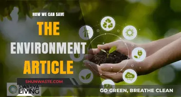Sustainable Steps: Practical Ways to Protect and Preserve Our Planet