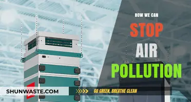 Breathing Clean: Practical Steps to Combat Air Pollution