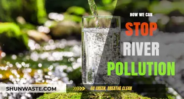 Clean Rivers: Strategies to Prevent Pollution and Protect Our Waterways