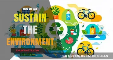 Sustainable Living: Practical Steps to Protect and Preserve Our Environment