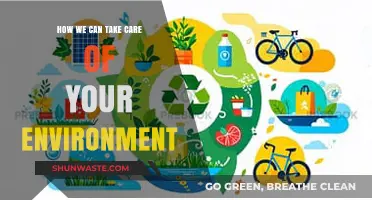Sustainable Living: Simple Steps to Protect and Preserve Our Environment
