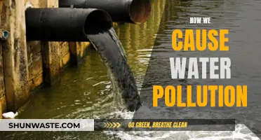 Unveiling the Sources: How Human Actions Contaminate Our Waterways