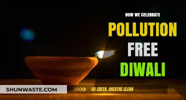 Green Diwali: Our Clean, Safe Celebration