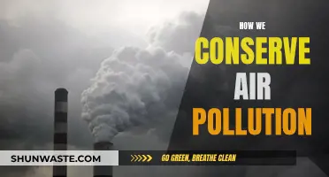 Strategies to Combat Air Pollution and Breathe Easy
