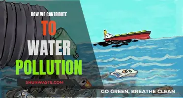 Unveiling the Hidden Sources: Our Impact on Water Pollution