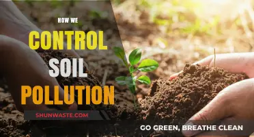 Soil Pollution: Strategies for Control and Prevention