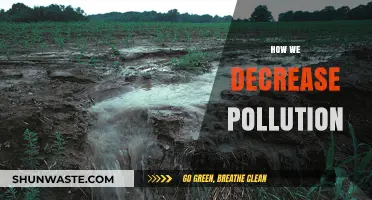 Reducing Pollution: Strategies for a Greener Tomorrow